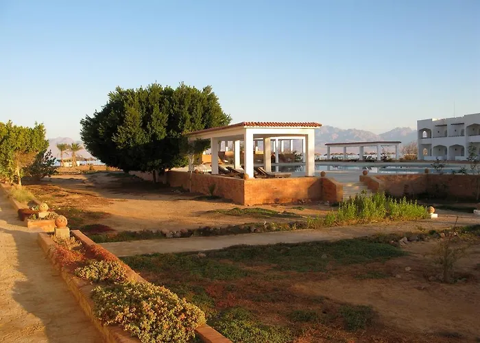 Swisscare Nuweiba`