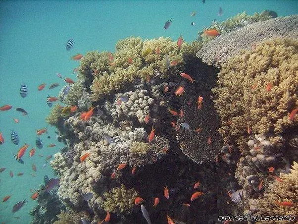 Swisscare Üdülőközpont Nuweiba`